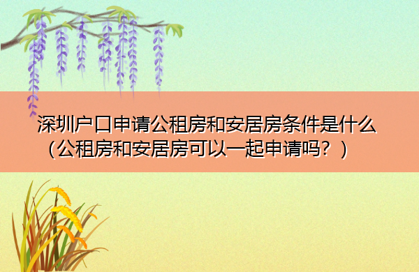 深圳户口申请公租房和安居房条件是什么(公租房和安居房可以一起申请吗?) 深圳户口申请公租房和安居房条件是什么(公租房和安居房可以一起申请吗?)