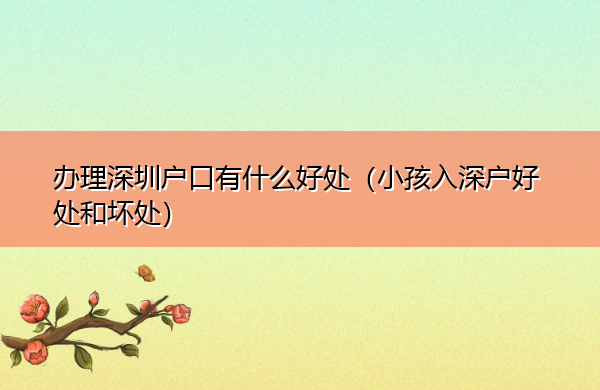 办理深圳户口有什么好处(小孩入深户好处和坏处) 办理深圳户口有什么好处(小孩入深户好处和坏处)