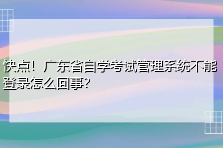 快点！广东省自学考试管理系统不能登录怎么回事？