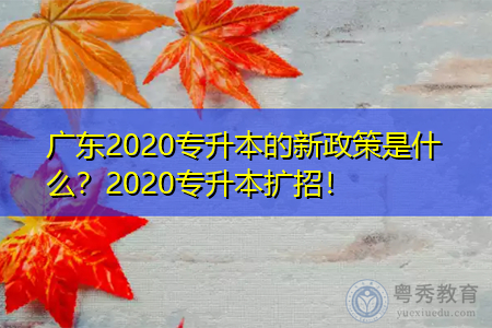 广东2020专升本的新政策是什么？2020专升本扩招！