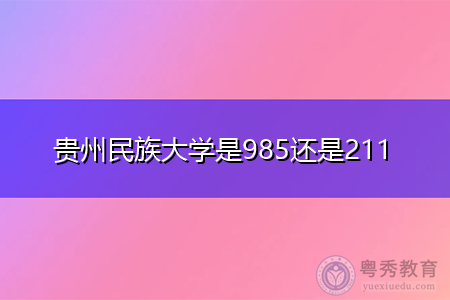 贵州民族大学、福州大学和广西民族大学是985还是211