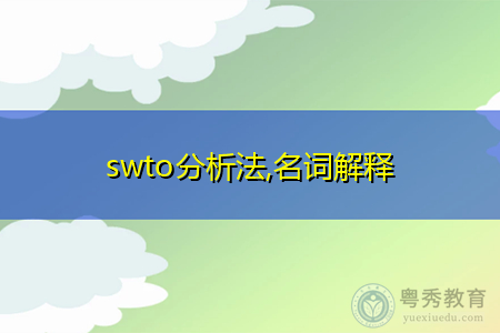 SWTO分析简介及名词特点解释