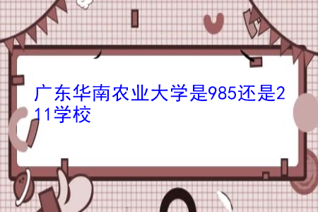 广东华南农业大学是985还是211学校?