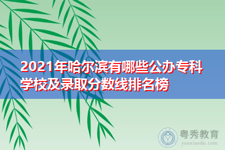 2021年哈尔滨有哪些公办专科学校及录取分数线排名榜