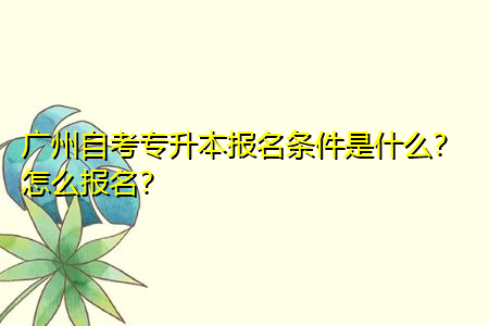 广州自考专升本报名有条件限制吗, 报考时间在什么时候?