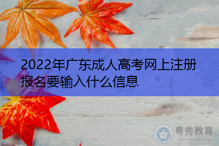 2022年广东成人高考网上注册报名要输入什么信息?
