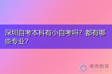 深圳自考本科有小自考吗,都有哪些专业可报考?