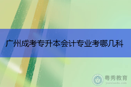 广州成考专升本会计专业考哪几科,就业方向有哪些?