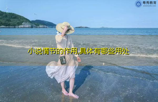 小说情节的作用,具体有哪些用处 小说情节的作用,具体有哪些用处