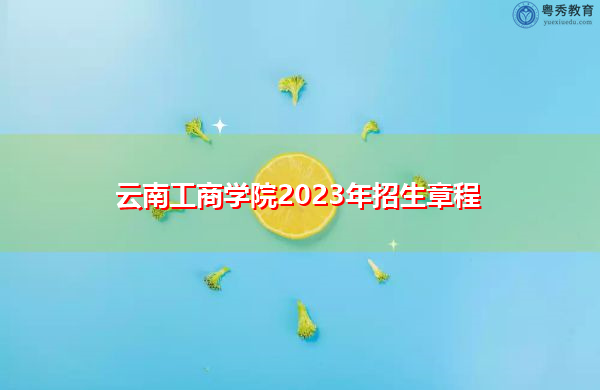 云南工商学院2023年招生章程
