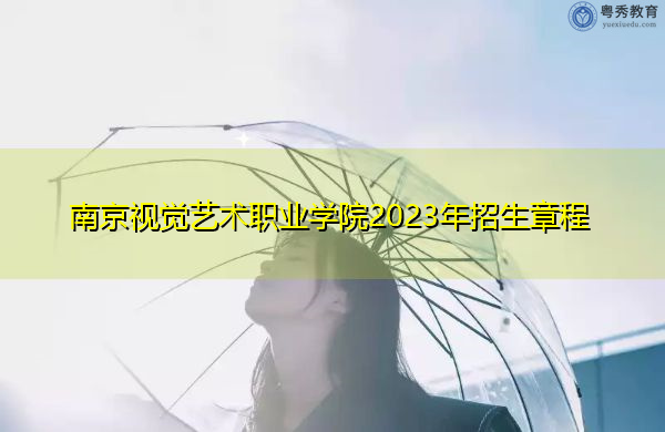 南京视觉艺术职业学院2023年招生章程