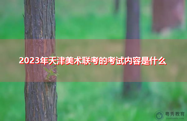 2023年天津美术联考的考试内容是什么 2023年天津美术联考的考试内容是什么