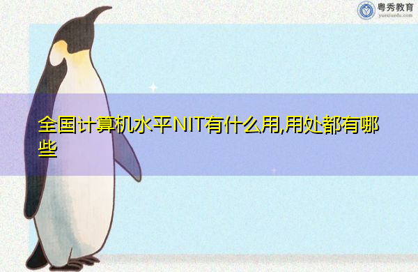 全国计算机水平NIT有什么用,用处都有哪些 全国计算机水平NIT有什么用,用处都有哪些
