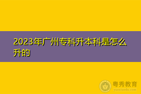 2023年广州专科升本科是怎么升的