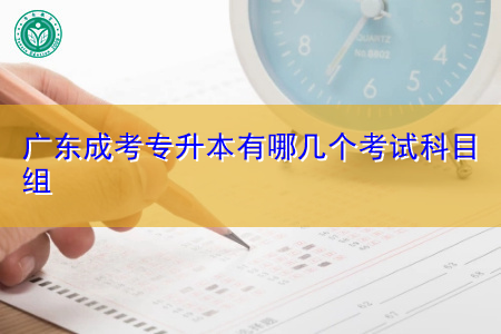 广东成考专升本有哪几个考试科目组