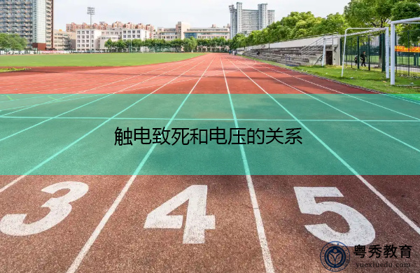 触电致死和电压的关系