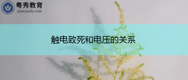 触电致死和电压的关系