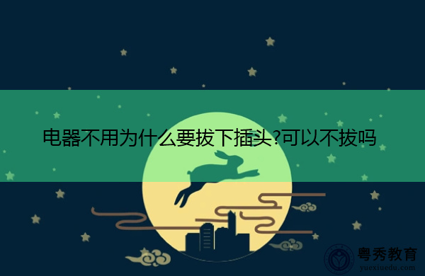 电器不用为什么要拔下插头?可以不拔吗 电器不用为什么要拔下插头?可以不拔吗