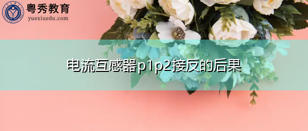 电流互感器p1p2接反的后果 电流互感器p1p2接反的后果