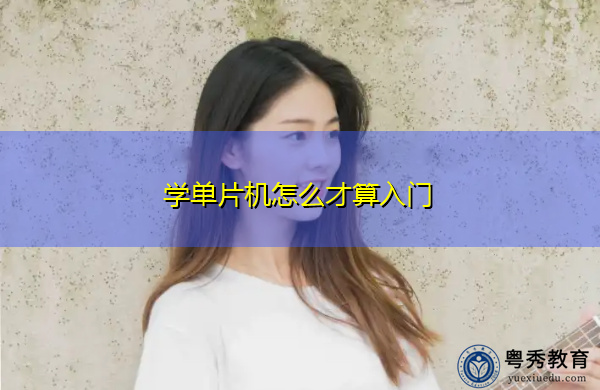 学单片机怎么才算入门 学单片机怎么才算入门