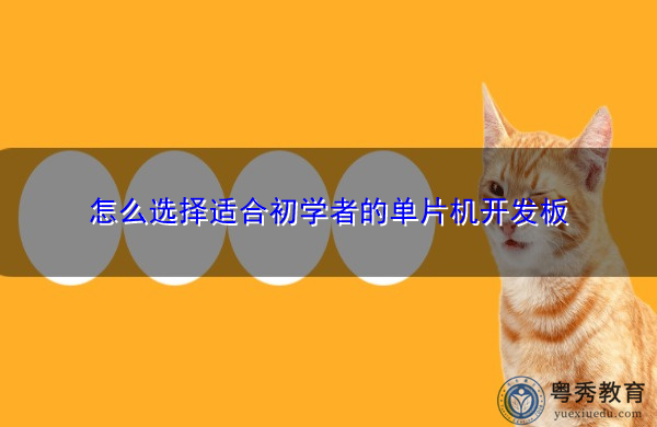怎么选择适合初学者的单片机开发板 怎么选择适合初学者的单片机开发板