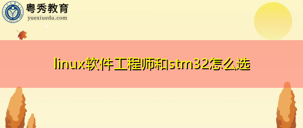 linux软件工程师和stm32怎么选 linux软件工程师和stm32怎么选