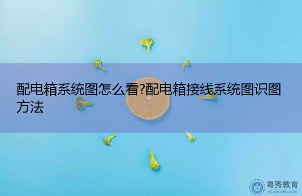 配电箱系统图怎么看?配电箱接线系统图识图方法