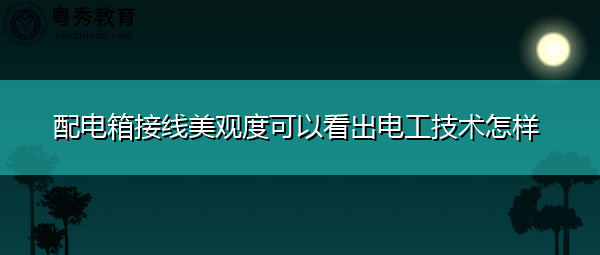 配电箱接线美观度可以看出电工技术怎样