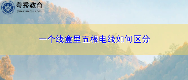 一个线盒里五根电线如何区分