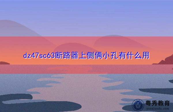 dz47sc63断路器上侧俩小孔有什么用