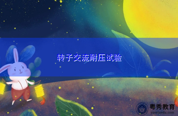 转子交流耐压试验 转子交流耐压试验