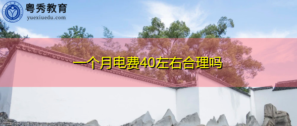 一个月电费40左右合理吗 一个月电费40左右合理吗
