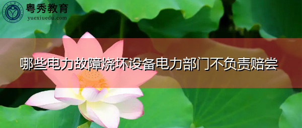 哪些电力故障烧坏设备电力部门不负责赔尝