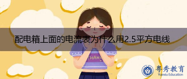 配电箱上面的电流表为什么用2.5平方电线