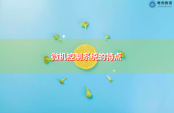 微机控制系统的特点