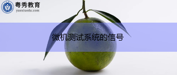 微机测试系统的信号 微机测试系统的信号