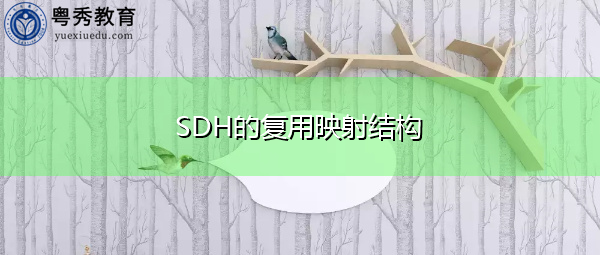 SDH的复用映射结构