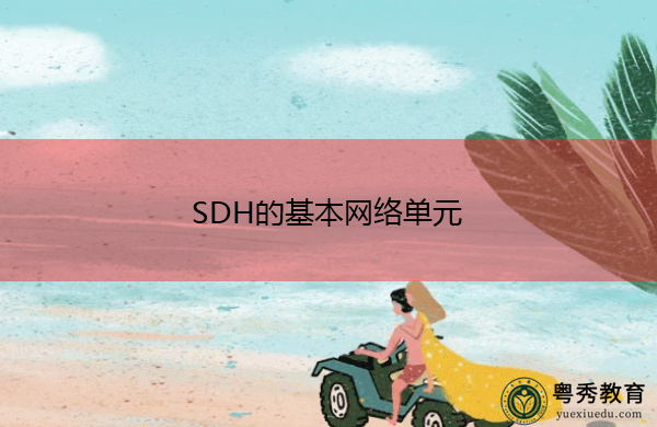 SDH的基本网络单元