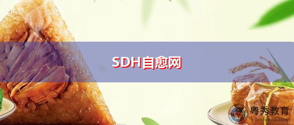 SDH自愈网
