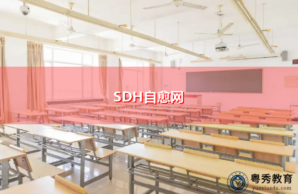 SDH自愈网