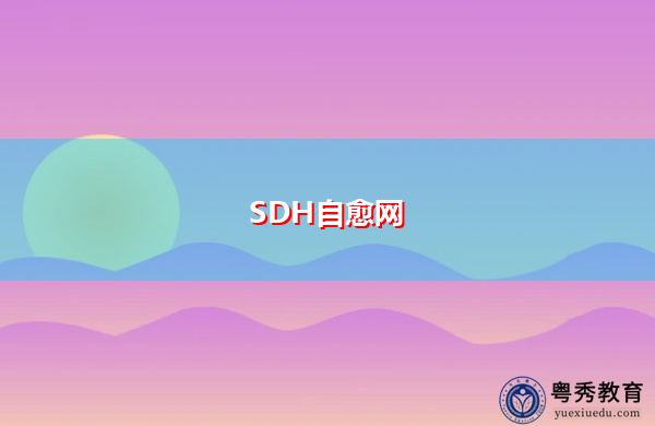 SDH自愈网