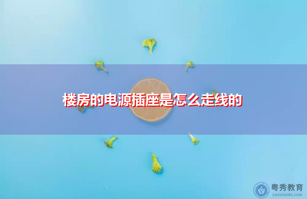楼房的电源插座是怎么走线的 楼房的电源插座是怎么走线的