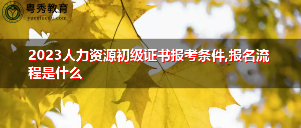 2023人力资源初级证书报考条件,报名流程是什么