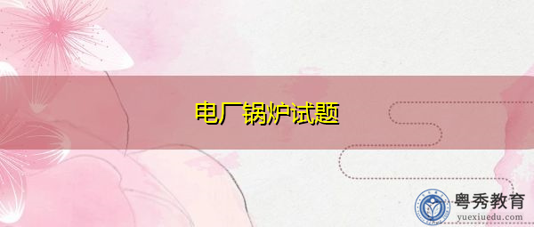 电厂锅炉试题
