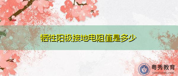 牺牲阳极接地电阻值是多少 牺牲阳极接地电阻值是多少