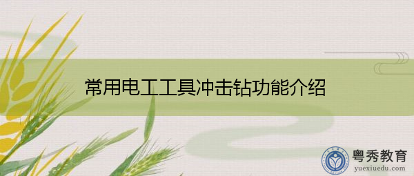 常用电工工具冲击钻功能介绍