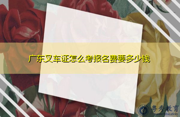 广东叉车证怎么考报名费要多少钱