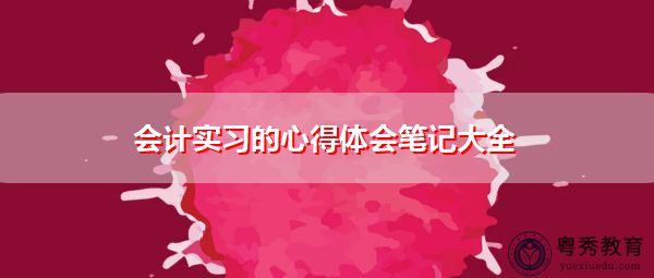 会计实习的心得体会笔记大全
