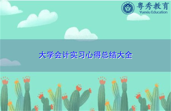 大学会计实习心得总结大全