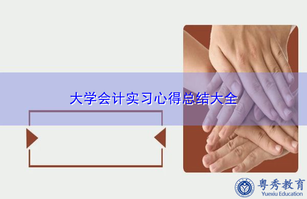 大学会计实习心得总结大全